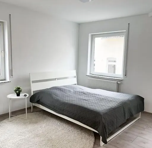 Neu Sanierte Einzimmerwohnung