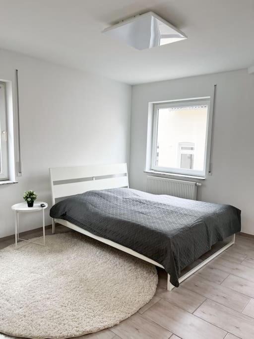 Apartment Neu Sanierte Einzimmerwohnung Bad Nauheim