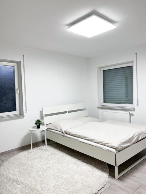 Neu Sanierte Einzimmerwohnung