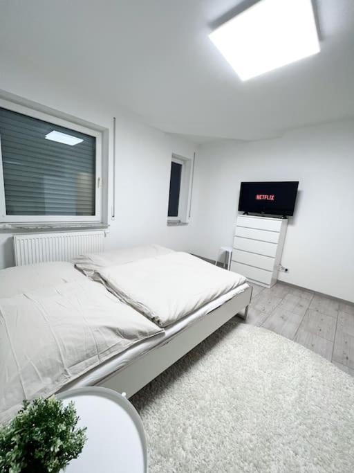 Neu Sanierte Einzimmerwohnung *