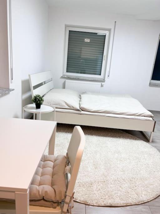 Neu Sanierte Einzimmerwohnung Bad Nauheim
